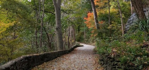 The West Virginia Forest Trail That Holds A Long Forgotten Secret Of The Civil War