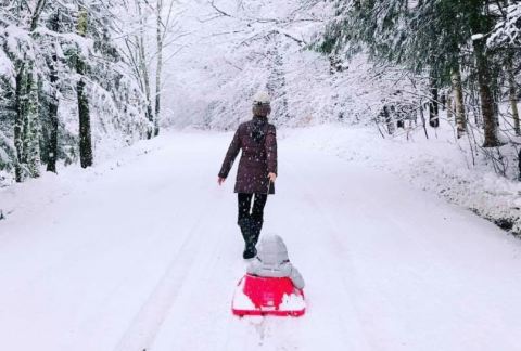 Winter Adventure Is Inescapable At These 9 Treasured Trails In Vermont