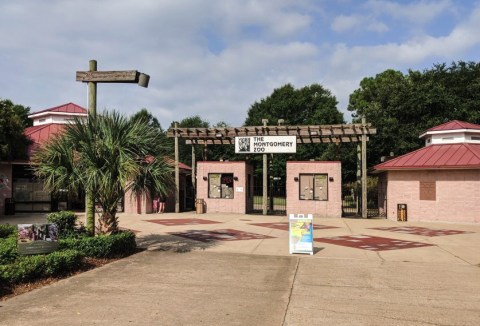 This Zoo In Alabama Has Animals That You May Have Never Seen In Person Before