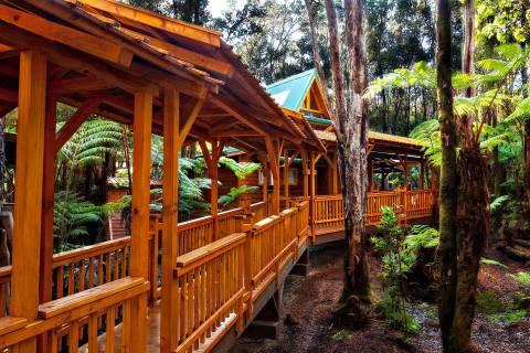 This Wood Cabin Retreat In Hawaii Is Perfect For A Weekend Of Pure Relaxation