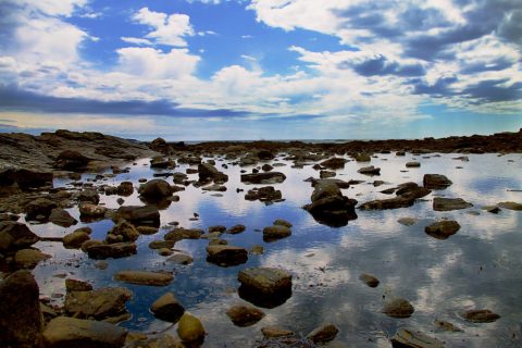 Take This Jaw Dropping Cliffside Trail In Maine For An Unbeatable View