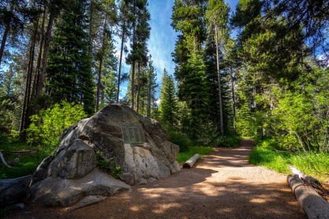 This Must-Visit Park Preserves A Tragic Piece Of Northern California History We'll Never Forget