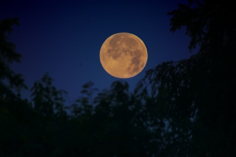 Catch A Glimpse Of The Magnificent Super Snow Moon Tonight Before It's Gone Until 2026