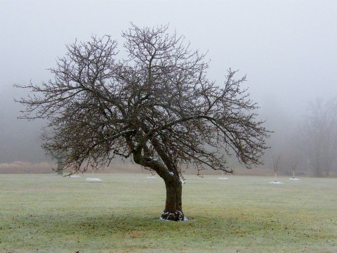 The Nearly Snowless Wisconsin Winter That Took Everyone By Surprise In 1968