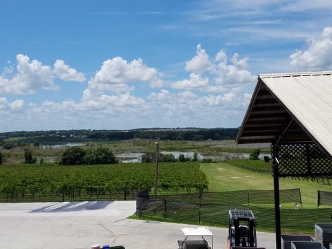 Visit Florida’s Largest Winery, Producing Close To 200,000 Gallons Of Wine & Champagne Every Year