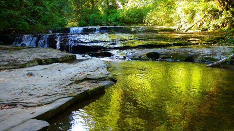 Your Kids Will Love This Easy 2-Mile Waterfall Hike Right Here In Oregon