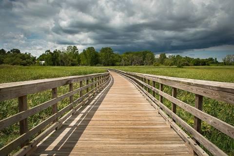 The 13 Most Beautiful Bike Trails You Can Take In Cleveland