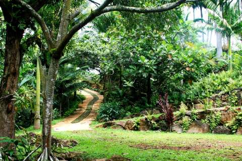 The Tropical Garden Tour In Hawaii Where You'll Find Chocolate, Fruit, And Honey Tastings