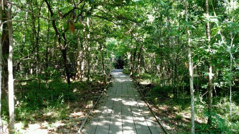 The New Orleans Hike That Leads To The Most Unforgettable Destination