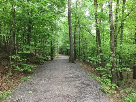 Most People Don't Know About This Stunning Green Trail Hiding In The Middle Of An Arkansas City