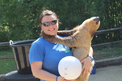 You Can Have An Up Close Encounter With Sloths At This Mississippi Zoo