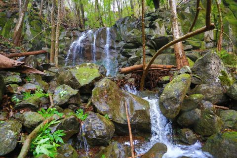 Hike Through Hawaii's Rock Maze For An Adventure Like No Other