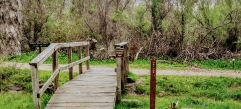 The Beautiful Hike In Southern California That's Surrounded By Nothing But Peace And Quiet