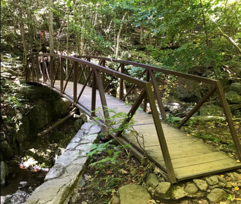 Your Kids Will Love This Easy 1-Mile Waterfall Hike Right Here In Virginia