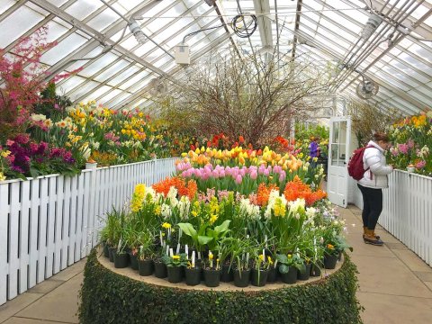 These Victorian Glass Greenhouses In Massachusetts Bloom All Winter Long