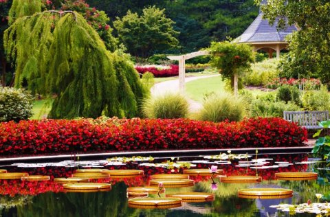 Your Visit To This Beautiful Garden In The U.S. Will Be Simply Unforgettable