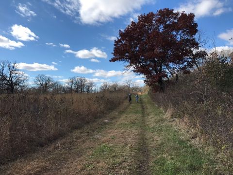 This Scenic Trail In Minnesota Leads To An Abandoned Century Old Farm