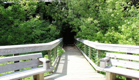 The Most Haunted Hike In The US Is Beautiful Yet Bone Chilling