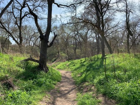 Your Kids Will Love This Easy 1-Mile Waterfall Hike Right Here In Austin