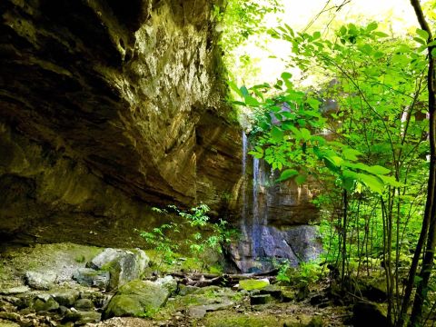 This Three-For-One Waterfall Trail May Be The Easiest Hike You've Ever Taken