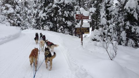 The Guided Sled Dog Tour In Wyoming That Takes You Straight To A Relaxing Hot Spring