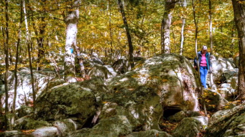 Hike Through Connecticut's Rock Maze For An Adventure Like No Other