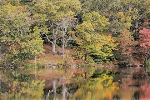 You Might Not Realize This Secret Island State Park In Connecticut Exists