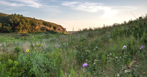 The 9 Best And Most Beautiful Places To See Wildflowers In Kansas This Spring