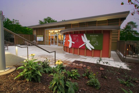 The Butterfly Forest At Chattahoochee Nature Center In Georgia Is Fun For The Entire Family