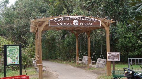 Most People Don’t Know This South Carolina Zoo And Adventure Park Even Exists