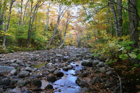 The Trail In Maine That Will Lead You On An Adventure Like No Other