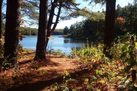 This Hike Through The Connecticut Forest Leads Straight To A Revolutionary War Hiding Spot