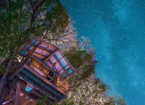 Sleep Underneath The Forest Canopy At This Epic Treehouse In Arizona