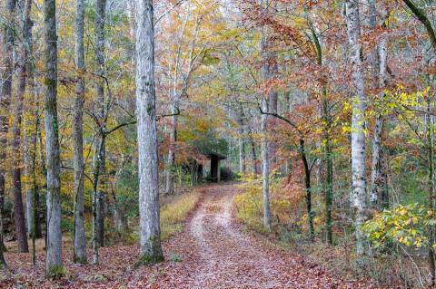 This Hidden Nature Preserve In Louisiana Is Only Open A Few Times A Year, And Now's Your Chance