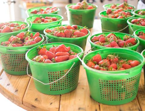 The Strawberry Festival In Georgia Is The Most Charming Way To Celebrate Spring