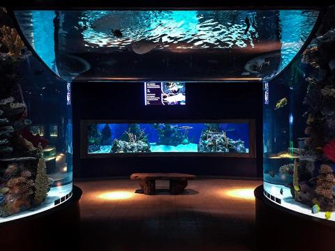 Explore This One-Of-A-Kind Aquarium In Pennsylvania The Whole Family Will Love