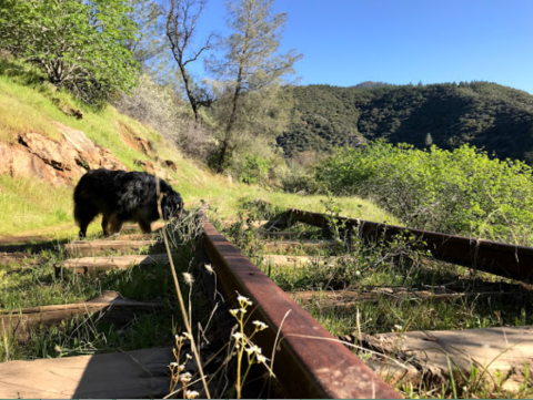 The Picturesque Railroad Trail In Northern California That Will Enchant You Beyond Belief