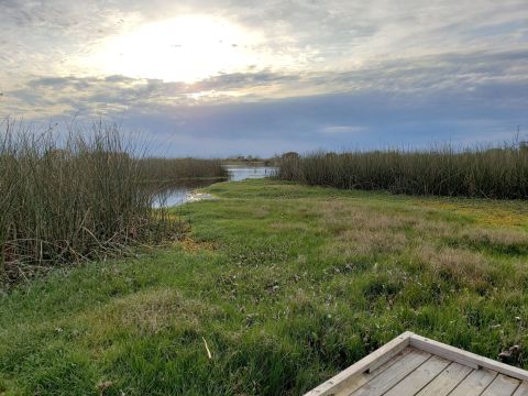 The Breathtaking Overlook Near New Orleans That Lets You See For Miles And Miles