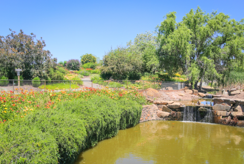 This 14-Acre Flower Farm In Northern California Is The Perfect Place To Spend A Spring Day