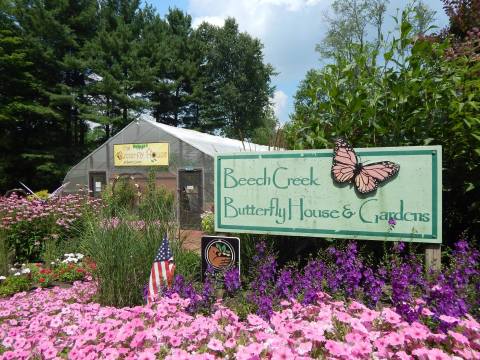 You'll Feel Closer To Nature Than Ever Before At This Little-Known Park Near Cleveland