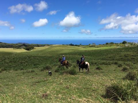 You'll Be Transported To The Wild, Wild West On This Epic Hawaii Tour