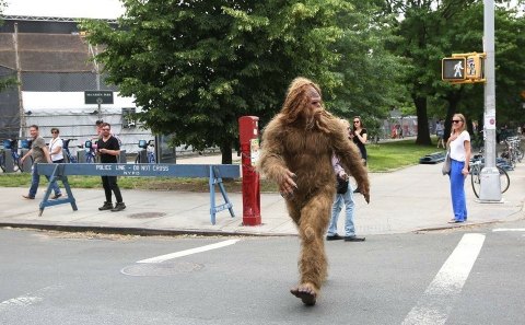 There’s A Bigfoot Festival Happening Near Cleveland And You’ll Absolutely Want To Go