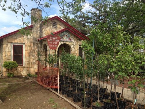 This Charming Apple Store And Bakery Near Austin Will Soon Become One Of Your Favorite Places