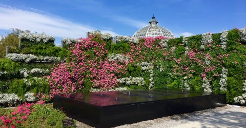 The Botanical Gardens Right Here In New Orleans Will Dazzle Your Senses