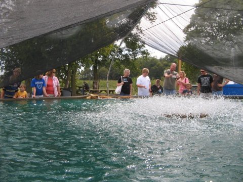 This Fish And Shrimp Farm In Ohio Makes An Unexpectedly Awesome Day Trip