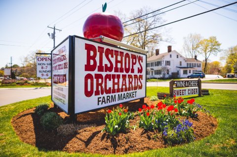 This Connecticut Orchard Is Triple The Fun With A Bakery, Farm Market, And Winery All In One