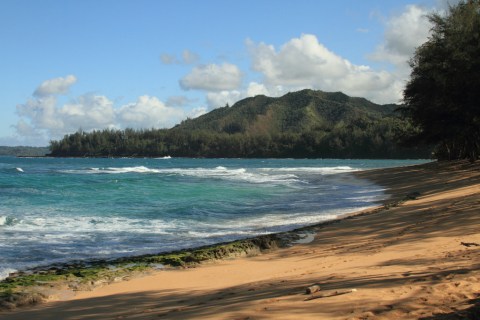 The Beautiful Hawaiian Beach That's Off-Limits To Swimming But Perfect For A Picnic