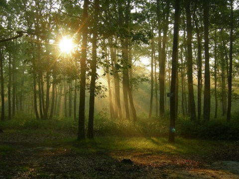 New Jersey's Biggest State Park Just Got Even Bigger And Now There's So Much More To Explore