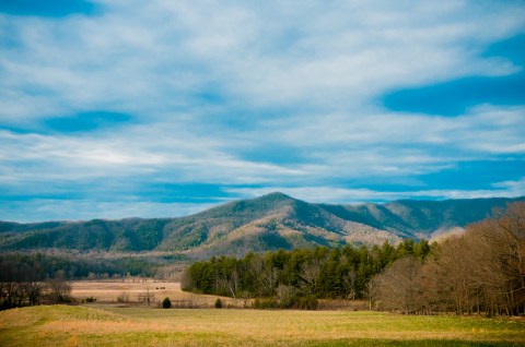 Kick Off Spring In Tennessee With These 7 Scenic Hikes Under One Mile