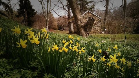 This Beautiful 657-Acre Botanical Garden In Pennsylvania Is A Sight To Be Seen